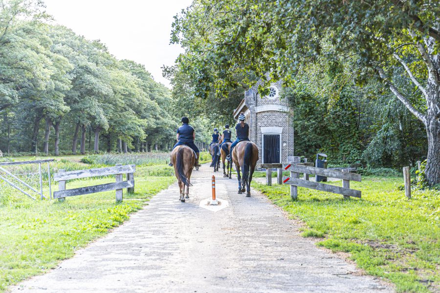 activiteiten_Buitenritten te paard_Mange_Meinders_1
