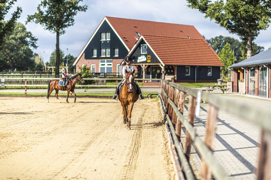 paardrijlessen_groepslessen_Mange_Meinders_2