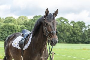 activiteiten_FNRS proeven_Mange_Meinders_1