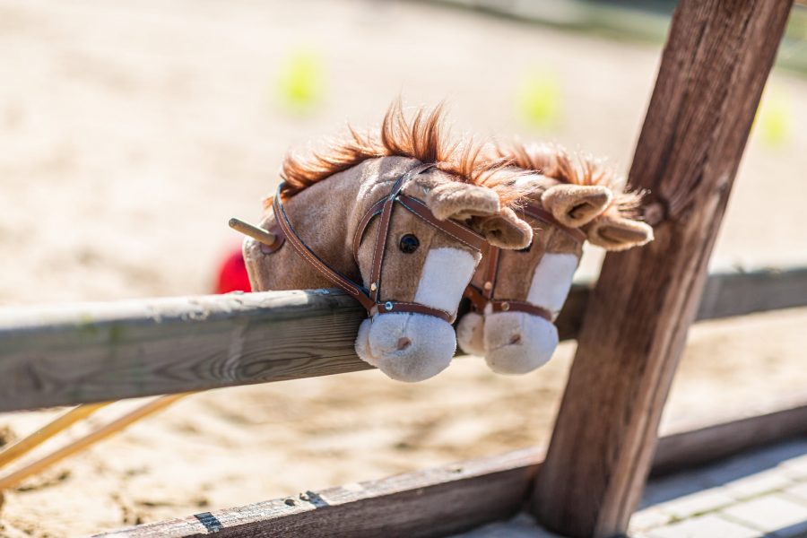 Pony Power voor Kids_Manege Meinders